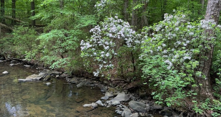 ECW Retreat at Camp Mikell